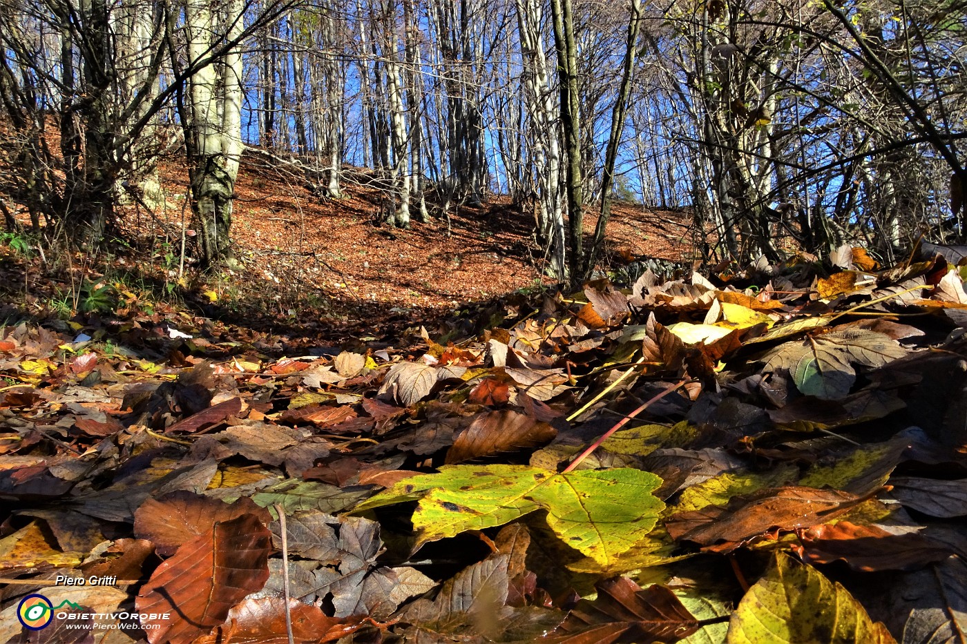 01 Caldi colori d'autunno salendo da Capo Foppa (1307 m)  al Passo Baciamorti (1541 m).JPG